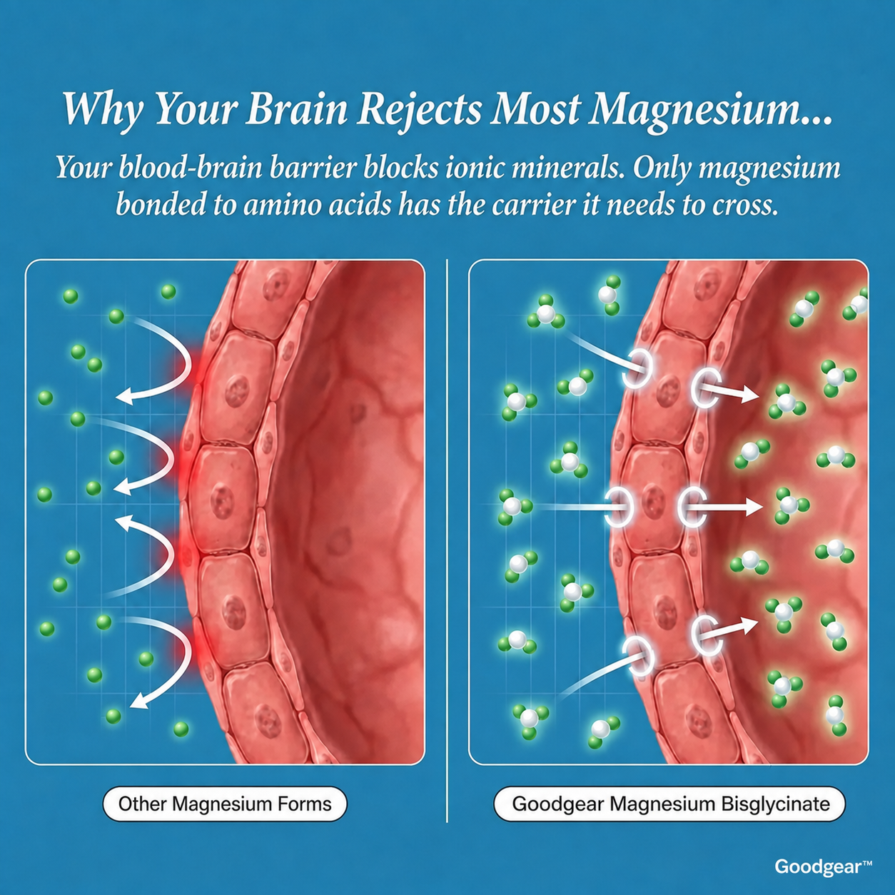 Magnesium Bisglycinate Gummies